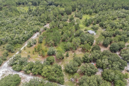 Country Home on 14+ Acres in Trenton, FL - image 12