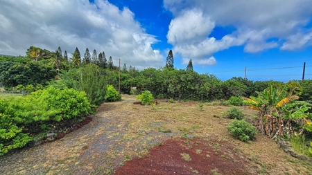 2 BR 1 BA home-w/county water-solar-lava zone 6 in Hawaii - image 13