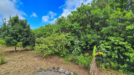 2 BR 1 BA home-w/county water-solar-lava zone 6 in Hawaii - image 39