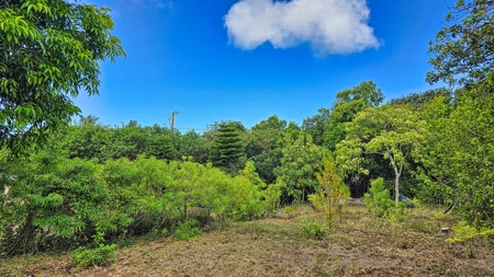 2 BR 1 BA home-w/county water-solar-lava zone 6 in Hawaii - image 30