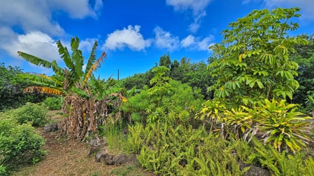 2 BR 1 BA home-w/county water-solar-lava zone 6 in Hawaii - image 43