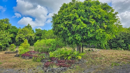 2 BR 1 BA home-w/county water-solar-lava zone 6 in Hawaii - image 29