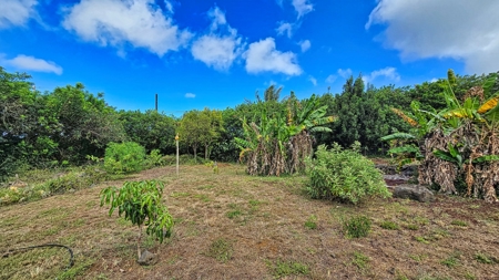 2 BR 1 BA home-w/county water-solar-lava zone 6 in Hawaii - image 44