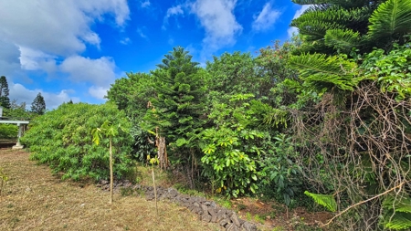 2 BR 1 BA home-w/county water-solar-lava zone 6 in Hawaii - image 36