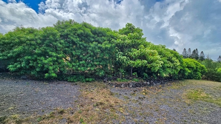 2 BR 1 BA home-w/county water-solar-lava zone 6 in Hawaii - image 34