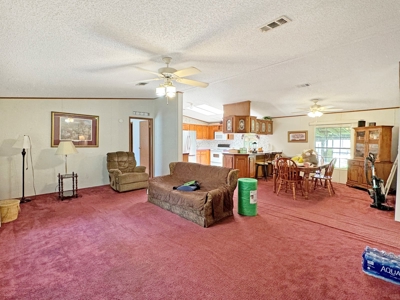 Three Rivers Estates Home For Sale-Fort White, Fl!! - image 31