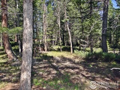 Peaceful Lot - image 8