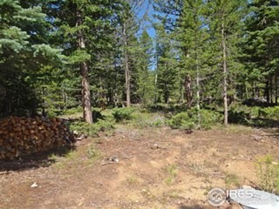 Peaceful Lot - image 9