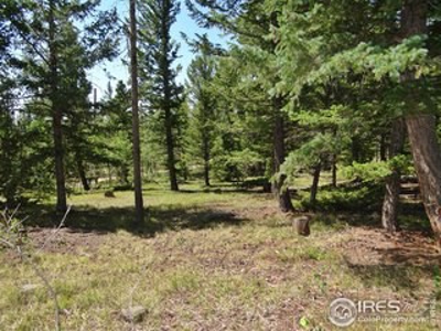 Peaceful Lot - image 6
