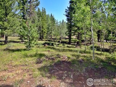 Peaceful Lot - image 2