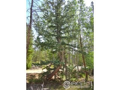 Peaceful Lot - image 5