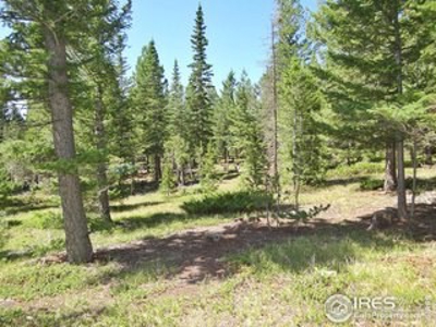 Peaceful Lot - image 1