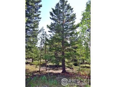 Peaceful Lot - image 4