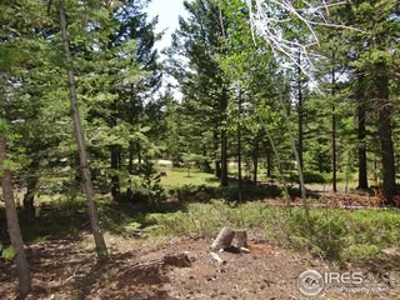 Peaceful Lot - image 7
