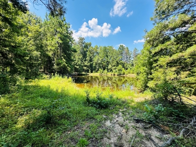 Winnsboro - Wood County Texas - 27 Acres - Shop - Log Cabin - image 17