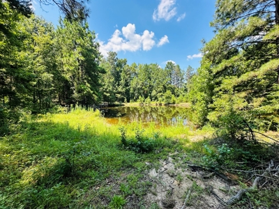 Winnsboro - Wood County Texas - 27 Acres - Shop - Log Cabin - image 18