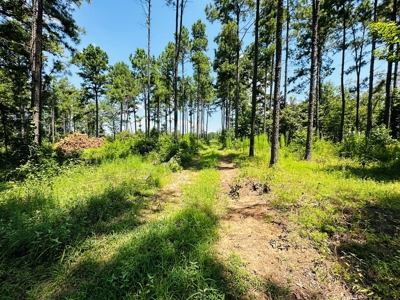 Winnsboro - Wood County Texas - 27 Acres - Shop - Log Cabin - image 15