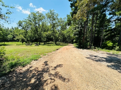 Winnsboro - Wood County Texas - 27 Acres - Shop - Log Cabin - image 6
