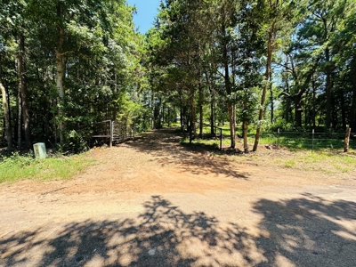 Winnsboro - Wood County Texas - 27 Acres - Shop - Log Cabin - image 3