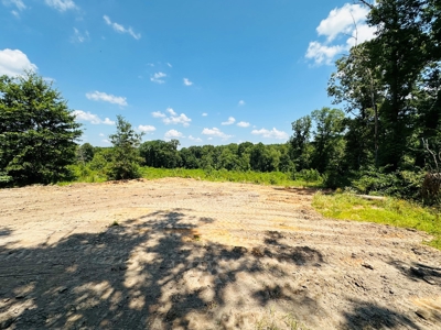 Winnsboro - Wood County Texas - 27 Acres - Shop - Log Cabin - image 13