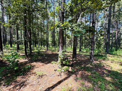 Winnsboro - Wood County Texas - 27 Acres - Shop - Log Cabin - image 19