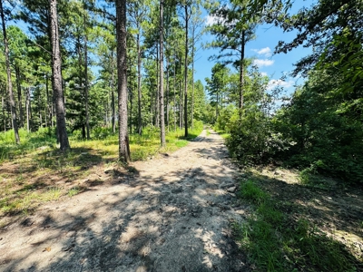 Winnsboro - Wood County Texas - 27 Acres - Shop - Log Cabin - image 11