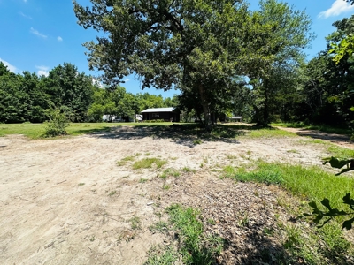 Winnsboro - Wood County Texas - 27 Acres - Shop - Log Cabin - image 5
