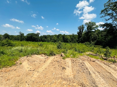Winnsboro - Wood County Texas - 27 Acres - Shop - Log Cabin - image 14