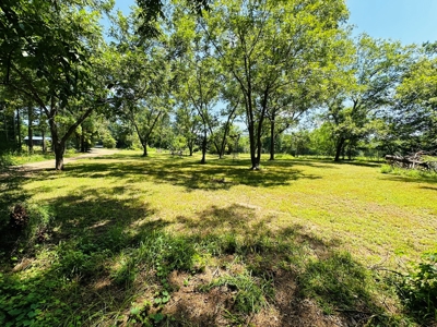 Winnsboro - Wood County Texas - 27 Acres - Shop - Log Cabin - image 4