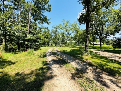 Winnsboro - Wood County Texas - 27 Acres - Shop - Log Cabin - image 12