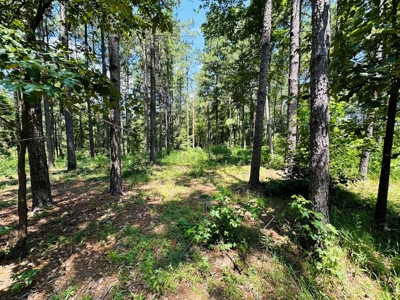 Winnsboro - Wood County Texas - 27 Acres - Shop - Log Cabin - image 20