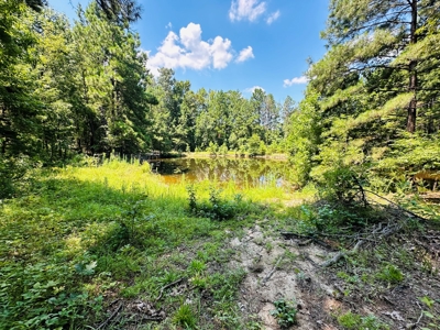 Winnsboro - Wood County Texas - 27 Acres - Shop - Log Cabin - image 16