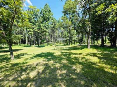 Winnsboro - Wood County Texas - 27 Acres - Shop - Log Cabin - image 10