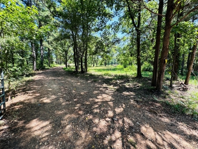 Winnsboro - Wood County Texas - 27 Acres - Shop - Log Cabin - image 1