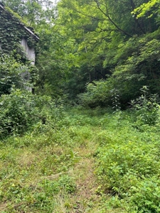 22.75 Unrestricted, Surveyed Acres in Hawkins County - image 19