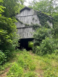 22.75 Unrestricted, Surveyed Acres in Hawkins County - image 1
