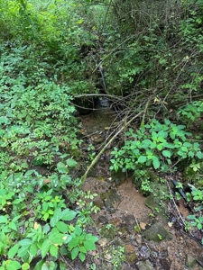 22.75 Unrestricted, Surveyed Acres in Hawkins County - image 26