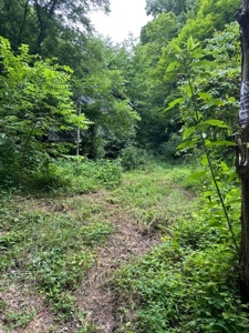 22.75 Unrestricted, Surveyed Acres in Hawkins County - image 13