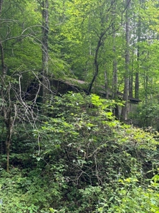 22.75 Unrestricted, Surveyed Acres in Hawkins County - image 12