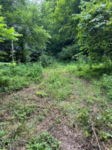 22.75 Unrestricted, Surveyed Acres in Hawkins County - image 14