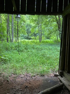 22.75 Unrestricted, Surveyed Acres in Hawkins County - image 17