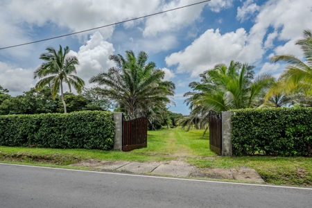 Luxury 4.6 Hectares Finca with 900 m² Home in Coclé - image 45