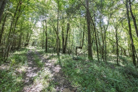 Wilkinson County Getaway on 48+- acres with a Pond - image 28