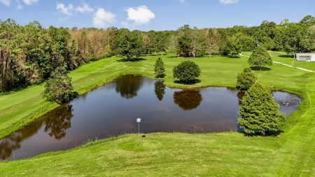 Wilkinson County Getaway on 48+- acres with a Pond - image 33