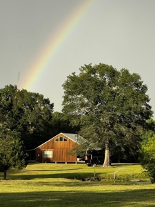 Wilkinson County Getaway on 48+- acres with a Pond - image 44