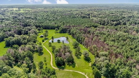 Wilkinson County Getaway on 48+- acres with a Pond - image 39