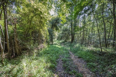 Wilkinson County Getaway on 48+- acres with a Pond - image 27