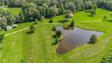 Wilkinson County Getaway on 48+- acres with a Pond - image 32