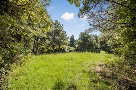 Wilkinson County Getaway on 48+- acres with a Pond - image 26