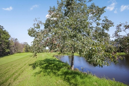 Wilkinson County Getaway on 48+- acres with a Pond - image 17